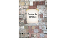 Sesión de carteles